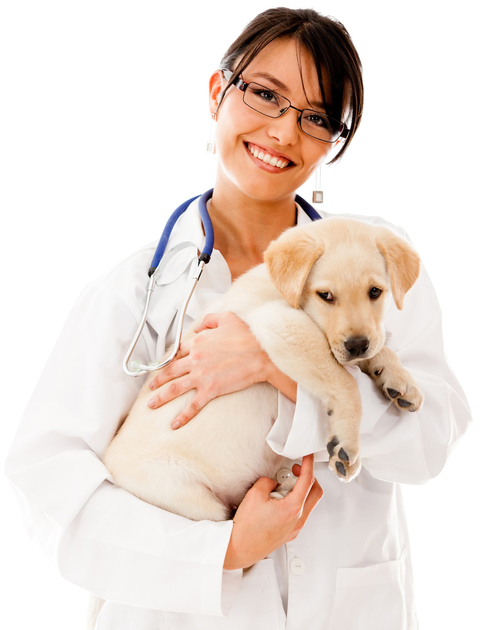 Cum recunoaștem o urgență medicală la animalul de companie?