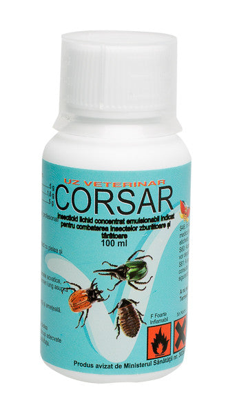 CORSAR