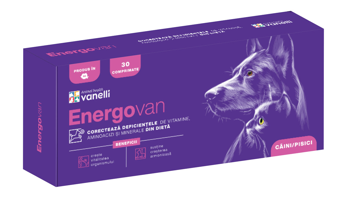 ENERGOVAN 500mg /comp.