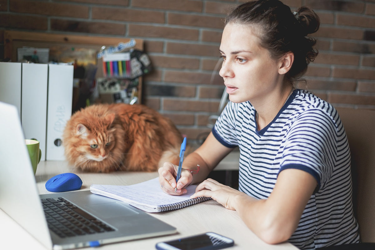 Reducerea stresului la studenți cu ajutorul animalelor de companie