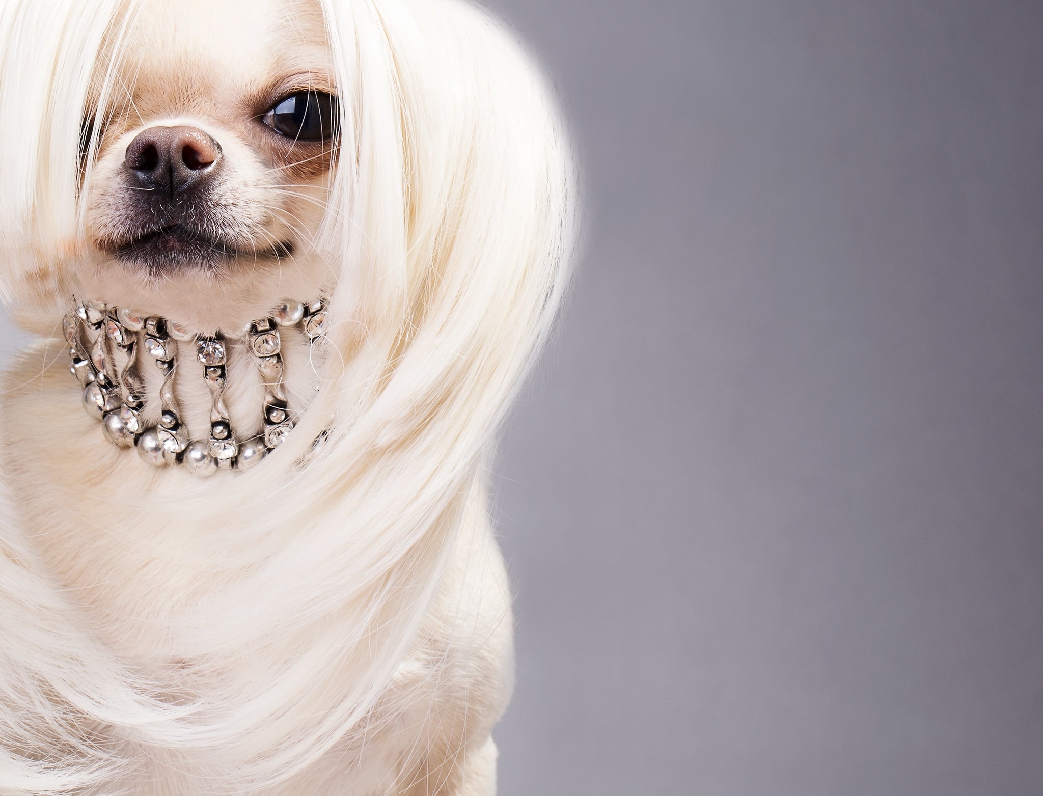 Din culisele istoriei grooming-ului