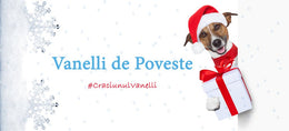 #VanelliTrivia #Crăciun2018#Antipoux