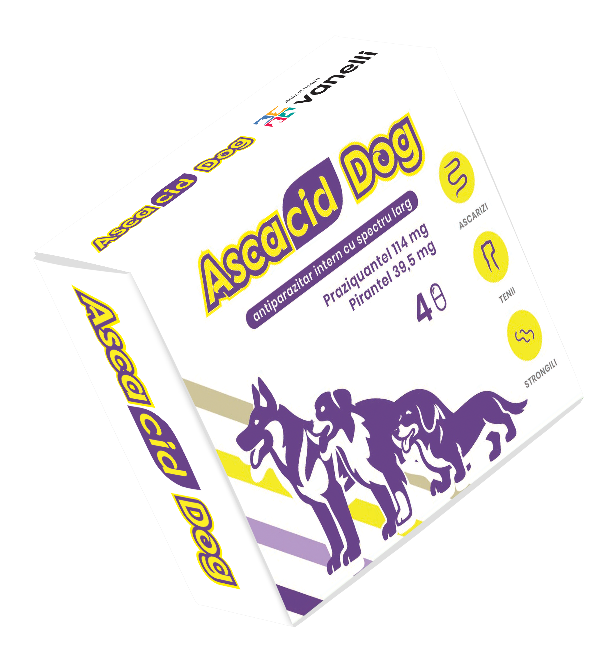 ASCACID DOG