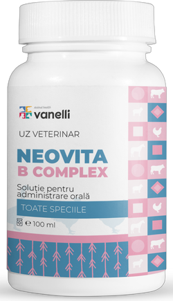 NEOVITA B Complex 100ml