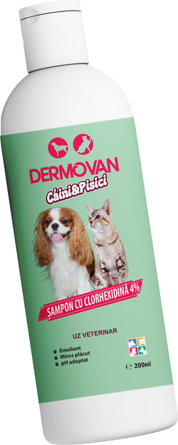 Şampon cu clorhexidină 4%