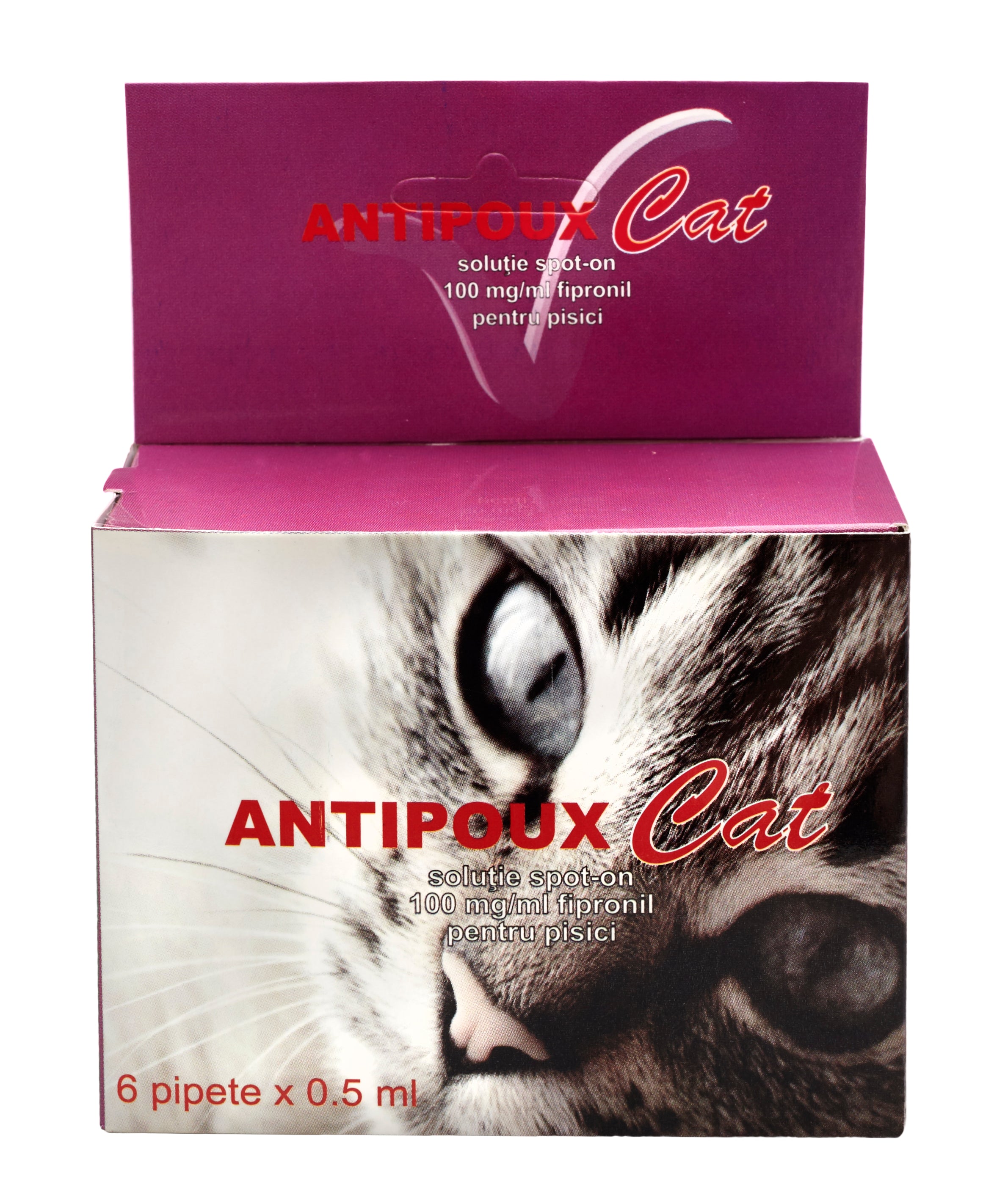 ANTIPOUX CAT spot on