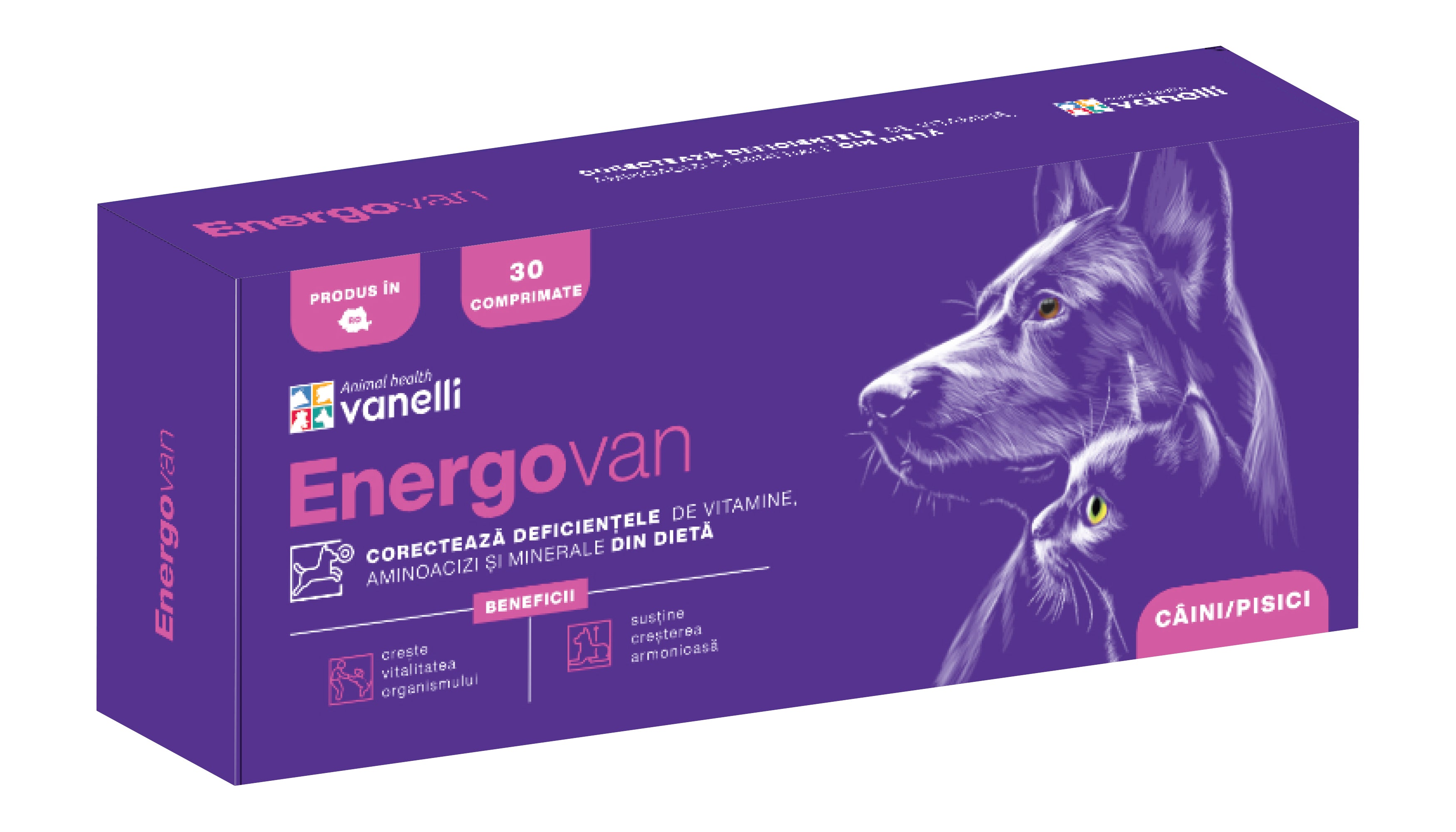 ENERGOVAN 500mg /comp.