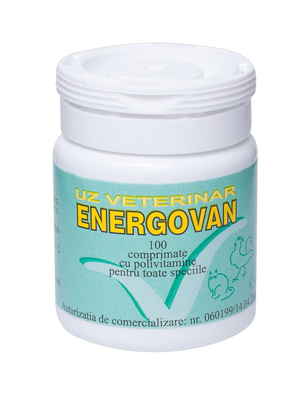ENERGOVAN 120 MG X 100 CP