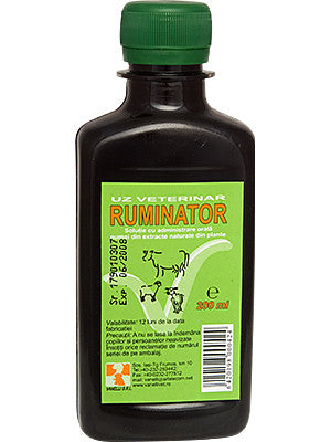 Ruminator